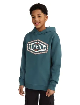 Felpa Con Cappuccio Front Print Alma Steel 14-15 Anni
