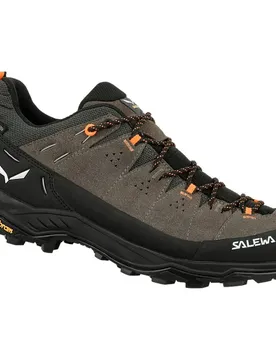 Alp Trainer 2 GTX Herren Trekking-Halbschuhe, braun, Größe 40 40