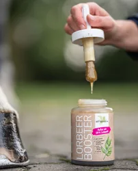 LorbeerBooster mit Pinsel 450ml
