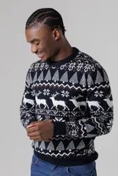 Mens Festive Jacquard Crew Neck Jumper