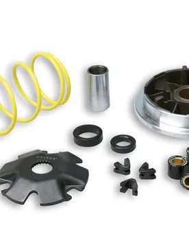 Variatore Multivar Per Scooter Suzuki Zillion 50 2t Lc - Malossi - FashionsVida