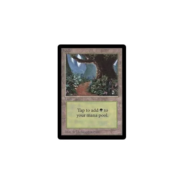 Forest (#3) Beta - Magic: The Gathering - FashionsVida