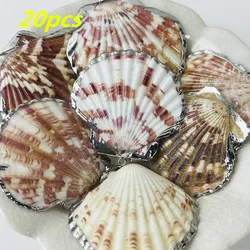 Pcs Wholesale Pendant 40-50mm Natural Shell Silver-Edge Pendant For Jewelry Making DIY Necklace Accessory
