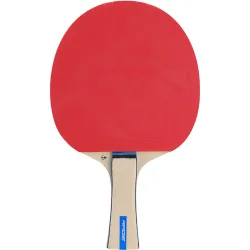Pala de ping pong Rage